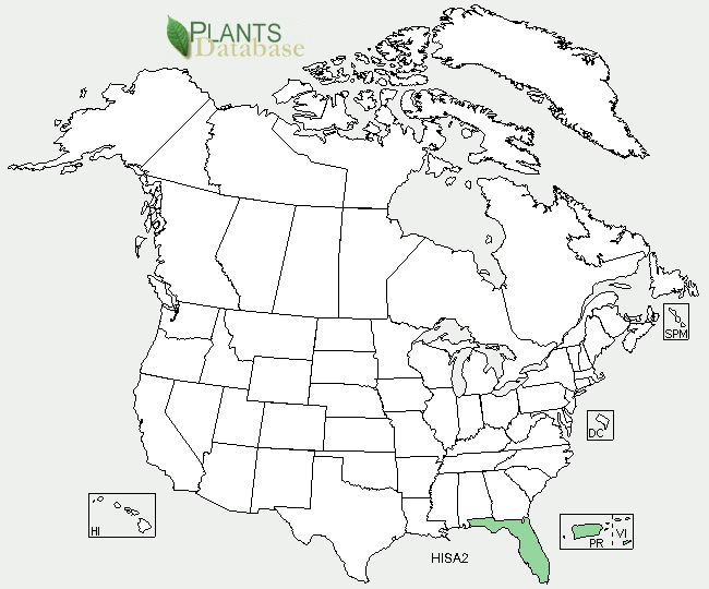 USDA map showing where H. sabdariffa L grows in the United States.